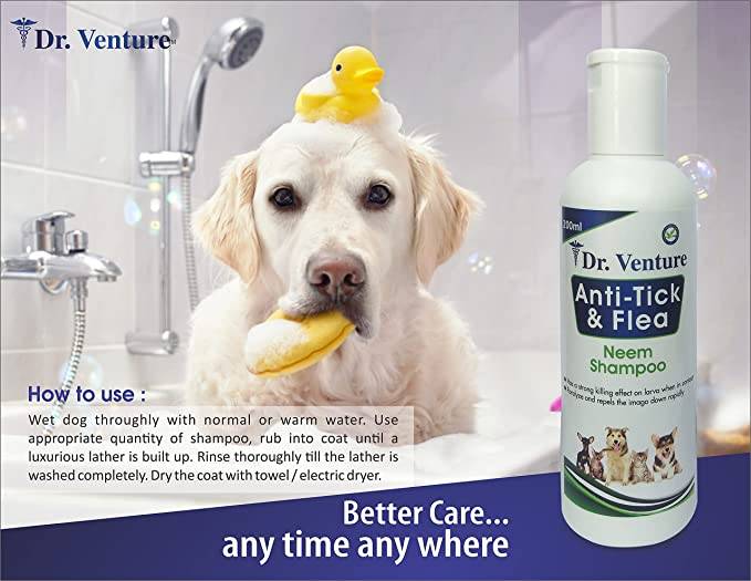 Dr Venture Anti-Dandruff & Conditioning Eucalyptus Dog & Cat Shampoo Anti-Bacterial & Anti-Fungal 500 ML Pack of 2