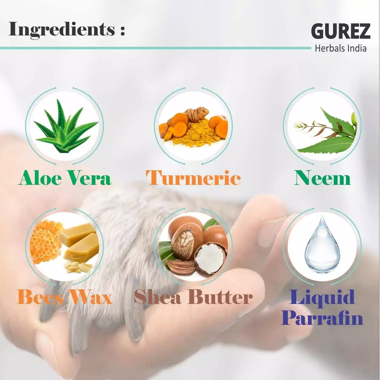 GUREZ Paw Butter Moisturising Cream for Pets Like Dogs and Cats for Cracked, Dry and Chapped Paws and Elbows Enriched with Pure Beeswax and Shea Butter (100Gm) - Image 3