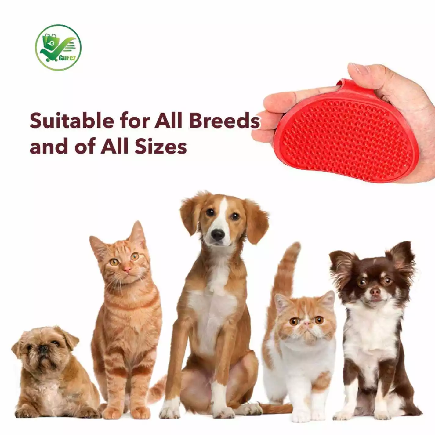 Dr Venture Anti-Tick and Flea Dog Shampoo for Allergy Relief, Anti-itching 200 ml + Bathing and Grooming Hand Dog Brush Pet Shampoo - Image 2