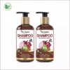 Dr. Venture Red Onion Shampoo With Red Onion Black Seed Oil Extract For Hair Growth And Hair Strengthening With Hairfall And Dandruff Control Shampoo No Paraben No Silicone No Sulphate No Colour 300 ml pack of 2