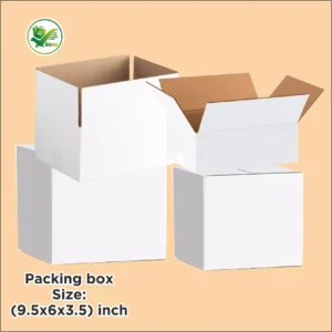 Alternative view of Box Brother 3 Ply White Cardboard Box Size: 9.5x6x3.5 Length 9.5 inch Width 6 inch Height 3.5 inch 3Ply custom cardboard packing boxes